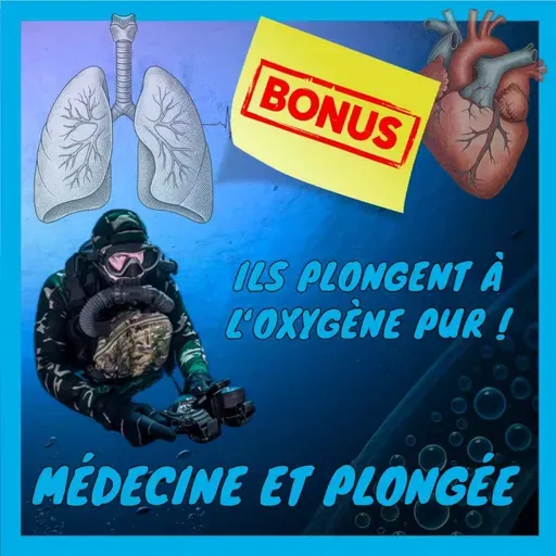 [Médecine et plongée] Troupes d'élite : comment plongent les nageurs de combat