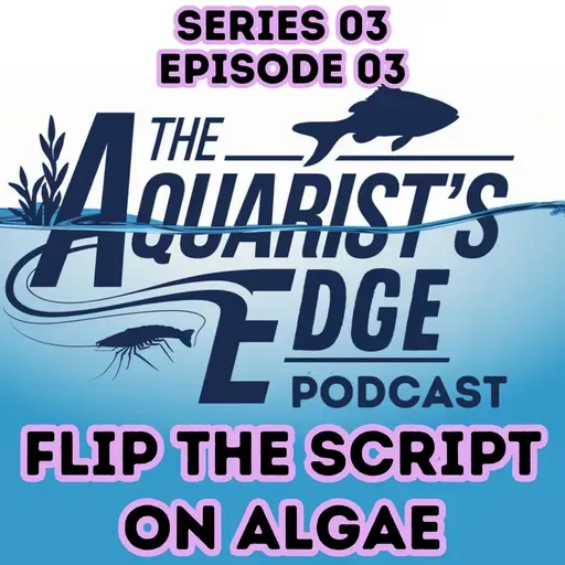 Flip The Script On Algae