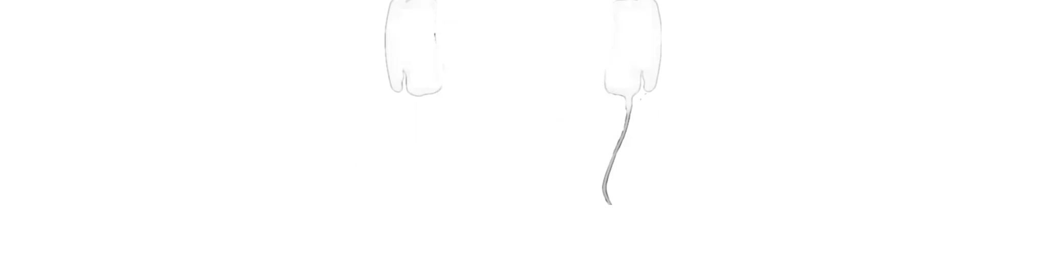 RADIO DJ ROBINHO WEB FM