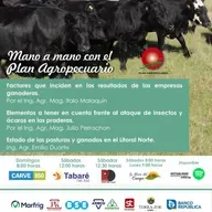 Empresas Ganaderas. Insectos, ácaros en praderas. Pasturas y ganados, Litoral Norte