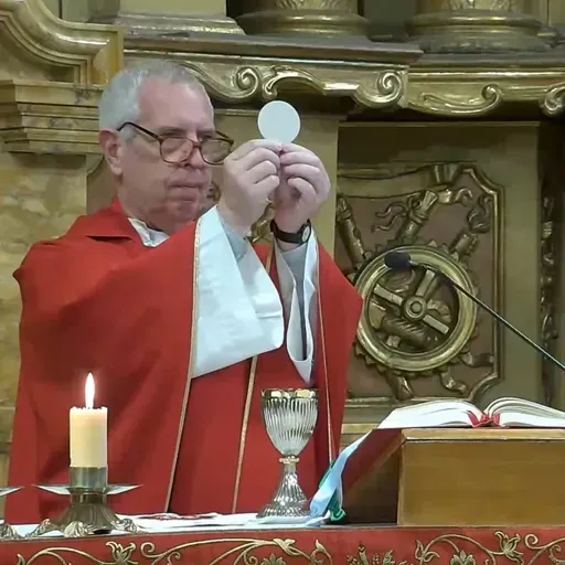 Catedral de Buenos Aires. Santa Misa Memoria de San Andrés Dung-Lac. 24 de noviembre