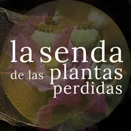 Cuando el dios del sueño llora paraísos e infiernos: Papaver somniferum {SPP 086}