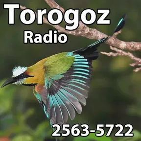 Torogoz Radio