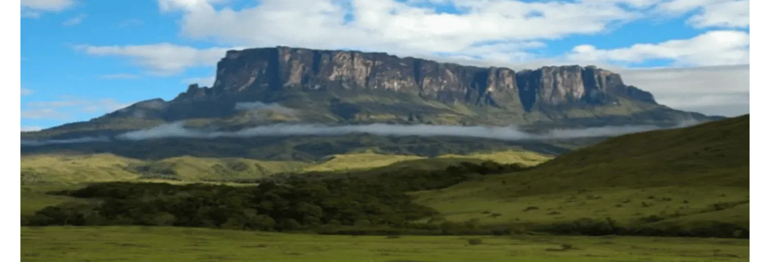 RAICES DE VENEZUELA Desde São José dos Pinhais Brazil