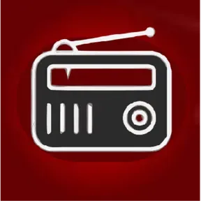 WINPOT METEPEC RADIO
