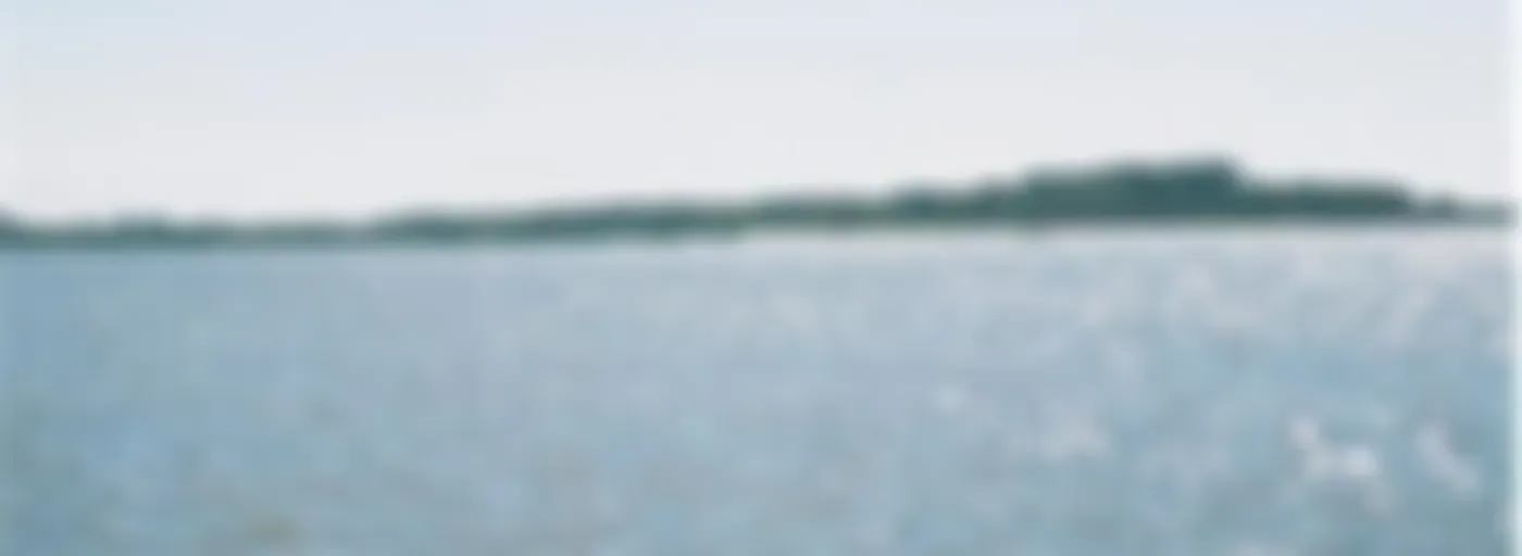 Jesus In the Morning