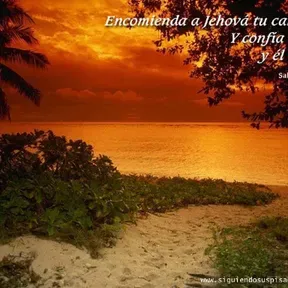 buenas nuevas
