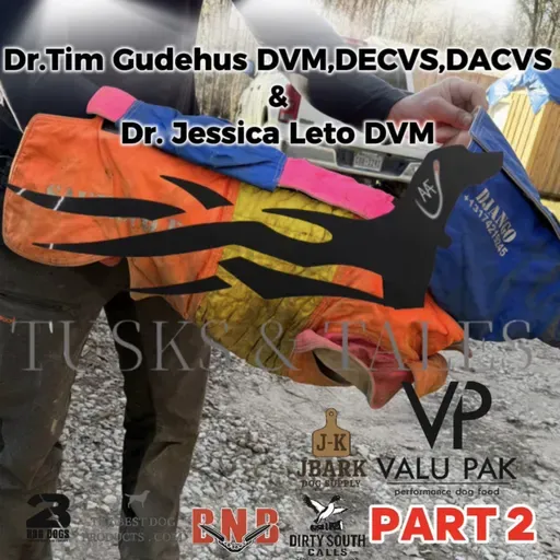 Dr. Tim Gudehus DVM,DECVS,DACVS & Dr. Jessica Leto DVM