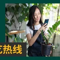 【园艺热线】茄子高产的秘密（十）：开花结果期的管理