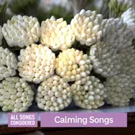 New songs to calm the nerves: 2025