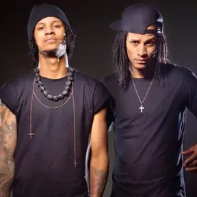 Les Twins Library