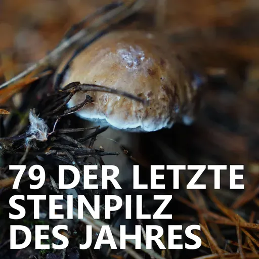 #79 Der letzte Steinpilz des Jahres