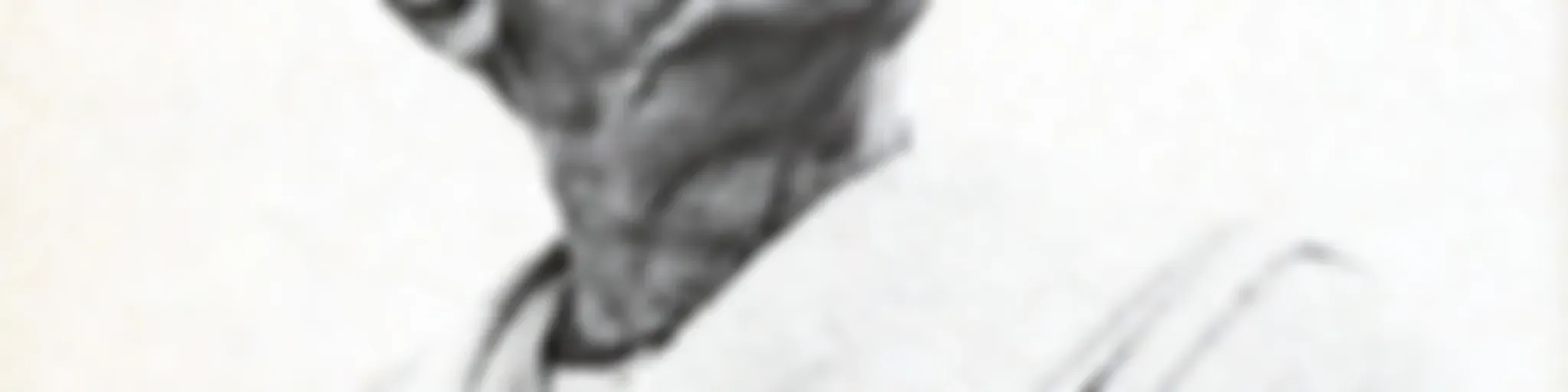 В ПАРАМПАРЕ | ЛЕКТОРИЙ