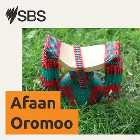 SBS Afaan Oromoo