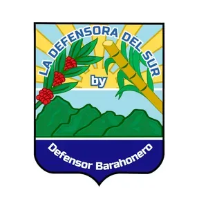 LA DEFENSORA DEL SUR