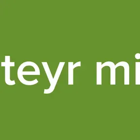 Steyr mix