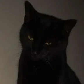 panela