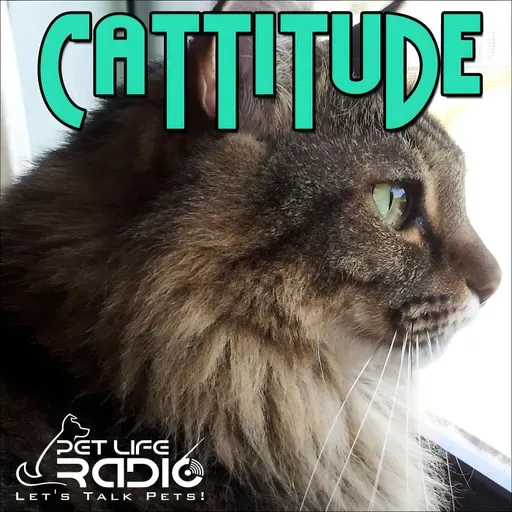 Cattitude - Episode 297 The 30-Breath Test That Could Save Your Cat’s Life