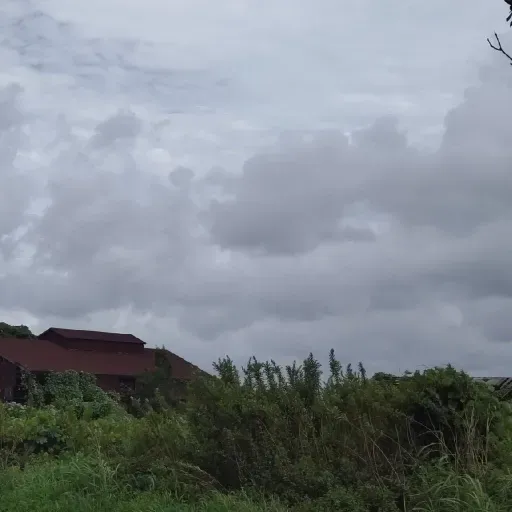 魯迅 故郷 from Radiotalk