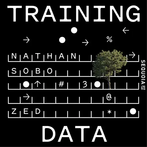 Why IDEs Won't Die in the Age of AI Coding: Zed Founder Nathan Sobo