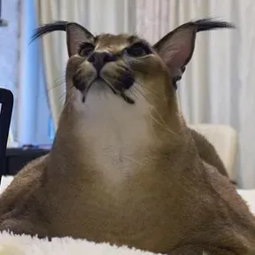 Richard Clayderman Internatonal