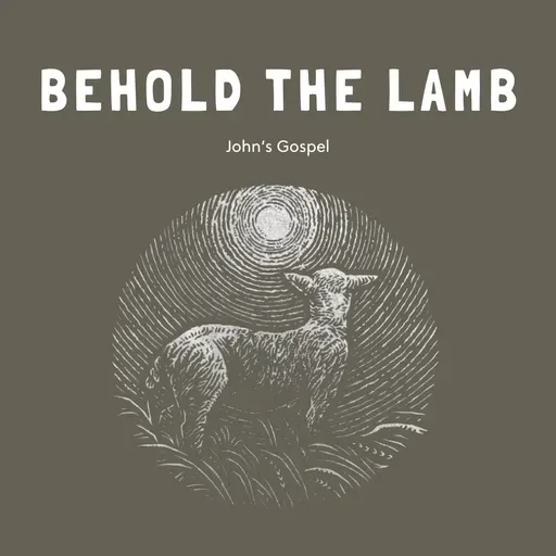 behold the lamb | Annaliese Phipps