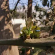 El amor en las cosas pequeñas