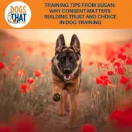 Training Tips From Susan: Why Consent Matters: Building Trust And Choice In Dog Training