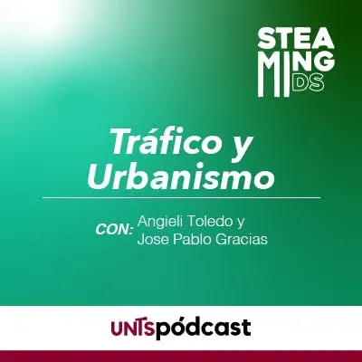 Tráfico y Urbanismo