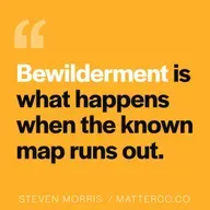 In Praise of Bewilderment