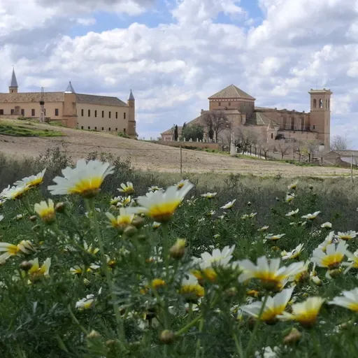 10.000 lugares para viajar con Ángela Gonzalo - El fascinante patrimonio de la campiña sevillana - 05/04/25