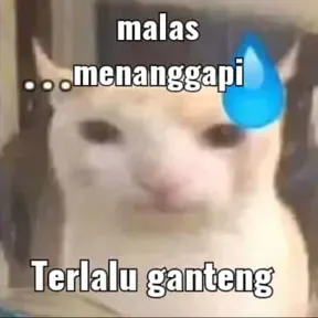jypohfm