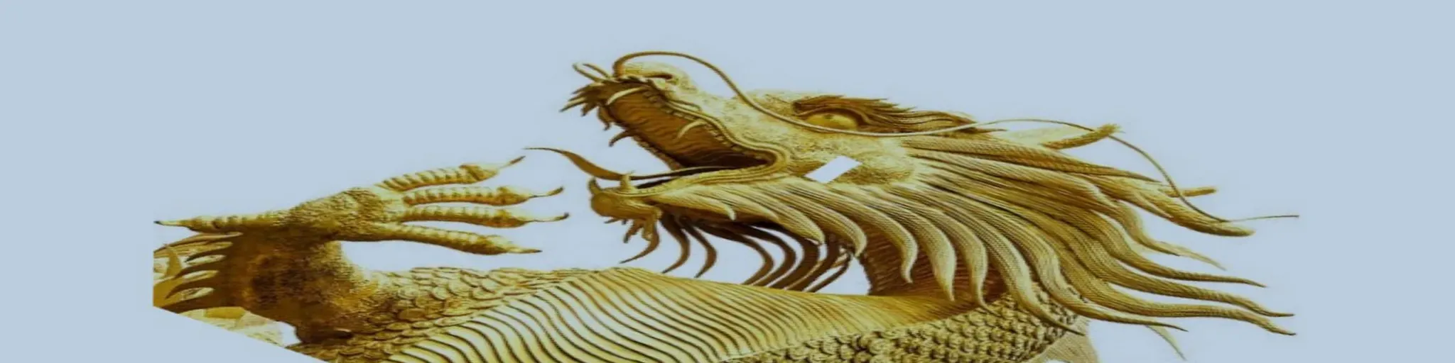 RADIODRAGON