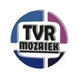 TVRmozaiek