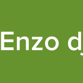 Enzo dj