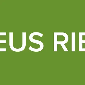 ASSEMBLEIA DE DEUS RIBEIRO GONCALVES