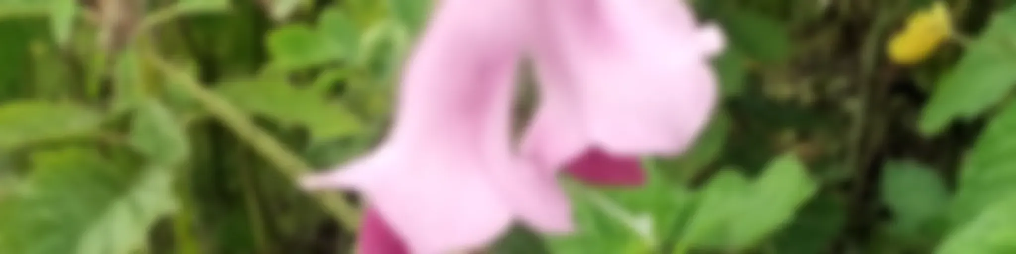 #AhsasonKi#Abhivyakti