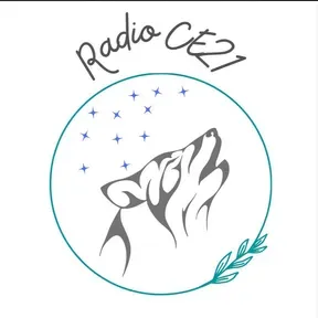 Radio CE21