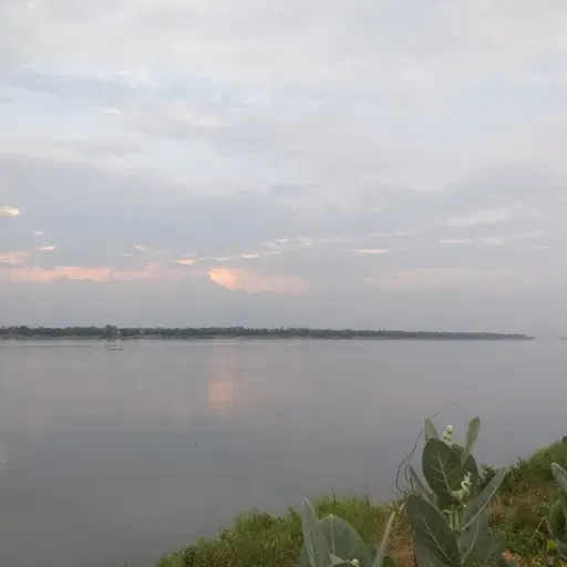 T Specials 1. La Casa sobre el Mekong