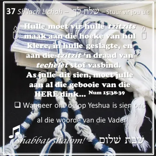 Parashat Sh'lach l'cha
