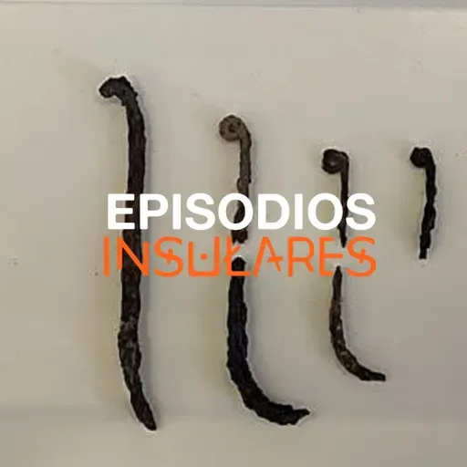 ¿Qué sabemos de los metales hallados en Canarias antes del sXIV?