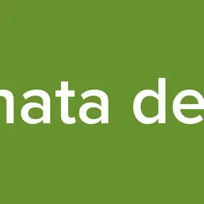 bachata delson