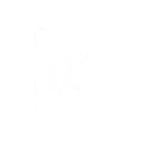 EJazz Extra