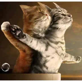 Funny love