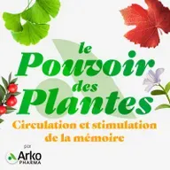 Circulation et stimulation de la mémoire