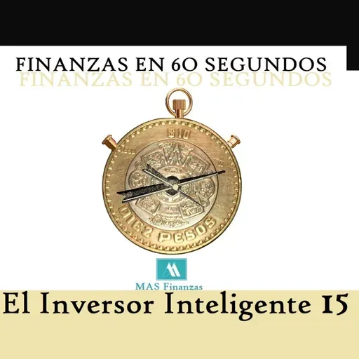 El Inversor Inteligente 15