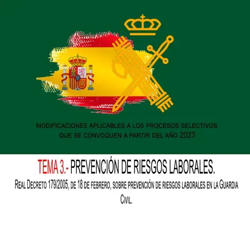TEMA 3.- PREVENCIÓN DE RIESGOS LABORALES. Real Decreto 179/2005, de 18 de febrero, sobre prevención de riesgos laborales