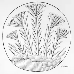 ZoiaFM