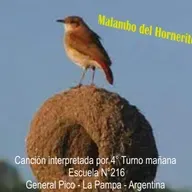 Malambo del hornerito 