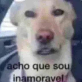 Menezes